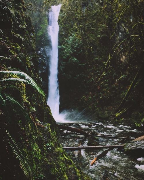 wildlxng:lovely hike with @elfofthewoodlandrealm today!! so nice to be back in the pacific northwest