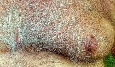 mweb69: hardpostanchor: youngforold6699: I’d be in this chest daily  Miammm j'adore   Yep, tha