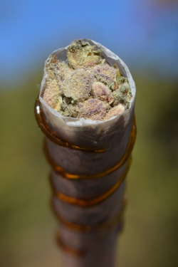 incredible-kush: Blackberry kush twax doobie 