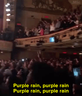 micdotcom:  Watch: The Color Purple cast’s tribute to Prince will leave you in