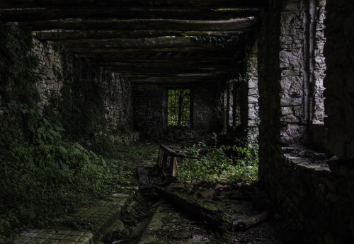 One year later. Abandoned barn in Feltre By Mary896. http://flic.kr/p/LHd1YK