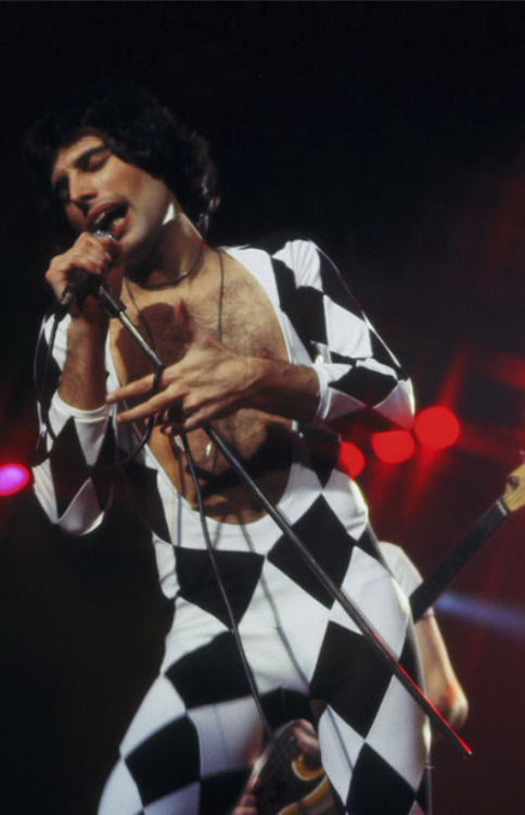 idoowutilike: Freddie Mercury