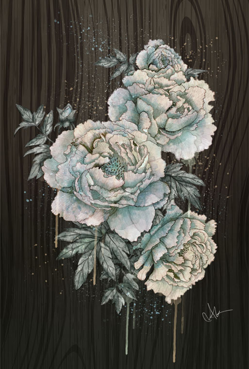 lohrien:  Illustrations by Marine Loup