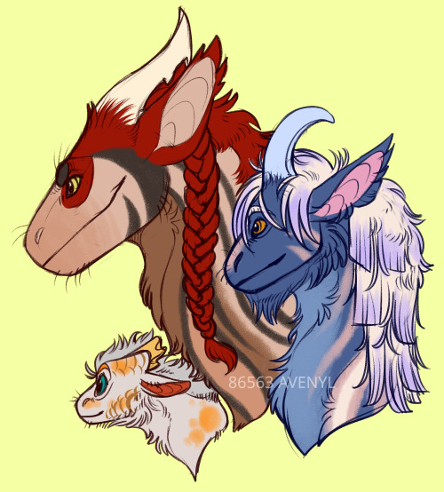 my tundras!!from biggest to smallest: katrielle, zora, koi