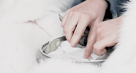 kateausten: Once a king or queen of Narnia, always a king or queen. May your wisdom grace us until t