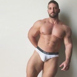 musclehunkymen:Muscled stallion porn hunk