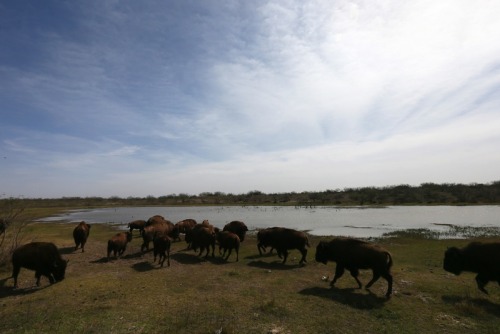 dendroica:West Texas Oilfield Town Runs Out of WaterBarnhart, a small community in West Texas, has r