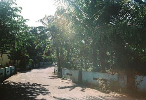 Heatwave - Kodak Gold, Minolta Dynax 5000i - Yogyakarta, Indonesia - February 2018