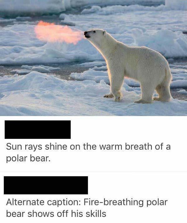 lolfactory:  I prefer the alternate  Tumblr | Facebook | Twitter | T-Shirts | follow