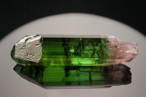 ifuckingloveminerals:  Tourmaline Barra de Salinas district, Barra de Salinas, Coronel Murta, Jequitinhonha Valley, Minas Gerais, Brazil 