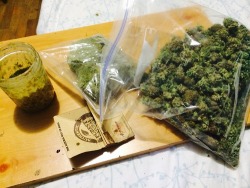 marihuanalegal:  stoney-daze:  stoneymackilla:  Gonna smoke this dank ass j I… http://ift.tt/SSpBf1