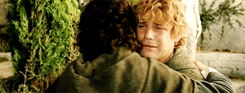 Our Favorites: [Day 05/24] Anastasias FavoriteFriendship (Lord Of The Rings) Frodo And Sam 