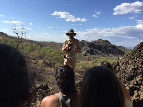 stanfordinaustralia2016:Iconic features of the Australian landscape: Chillagoe shrublands, Queenslan