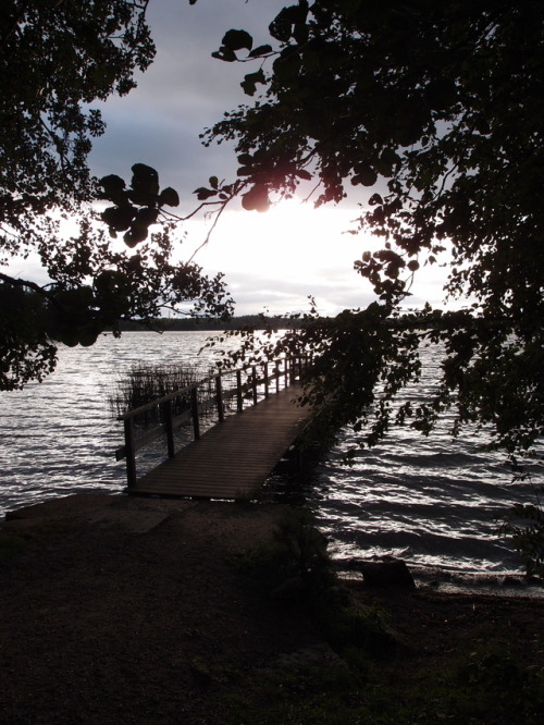 Gloomy summer evening at lake