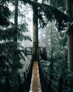 maureen2musings:  Rainy day adventures…lostintheforrest   Wherever this is, I need to go there 