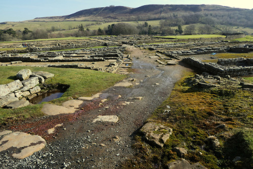 thesilicontribesman: Vindolanda Roman Fort, near Hadrian’s Wall, Northumbria, 24.2.18.Various 