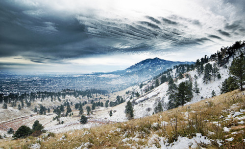 rosesinaglass: Boulder, CO by gwynethglissmann on Flickr.