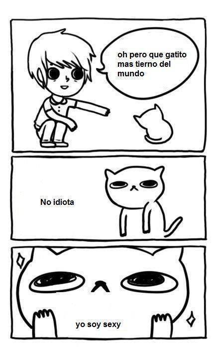 ¿Me quieres?