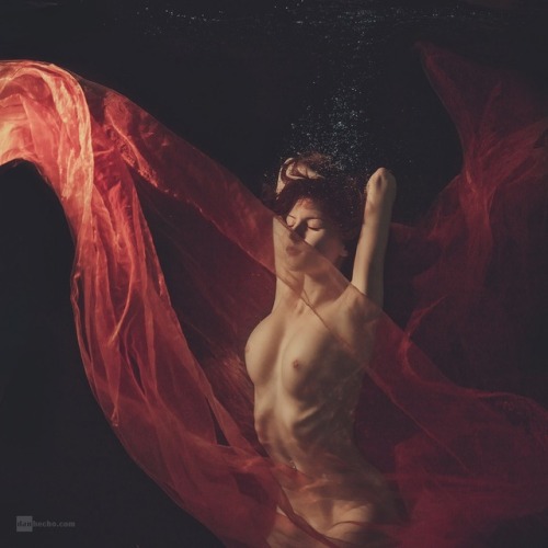 Sex Muriel, Underwater • by Dan Hecho pictures