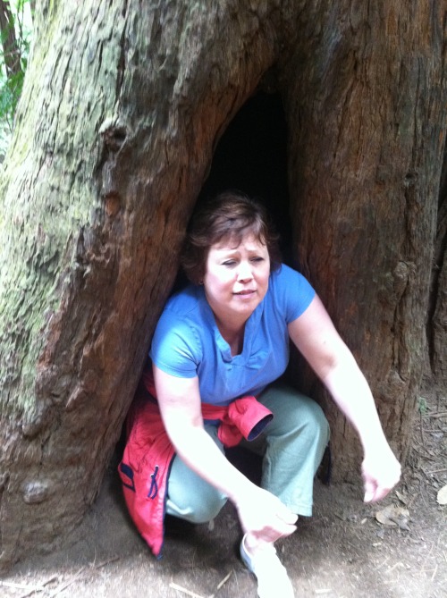 sluttyoliveoil:one time my mom got stuck in a tree