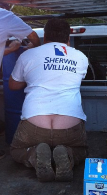 revengeofthebears:  thebigbearcave:  cracked IV  buttcrack is awesome 