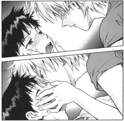 All is yaoi