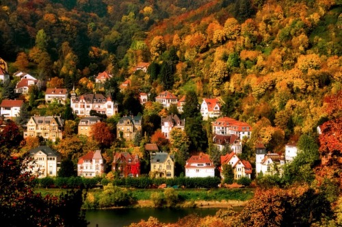 willkommen-in-germany:Autumn in Heidelberg, Baden-Württemberg, Southwestern Germany