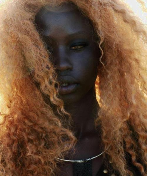 divinebeauties: Aweng Chuol  //  Ph: Taylor Phoenix