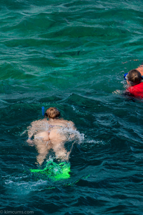 Some final snorkelling pictures before I came out of the water.
