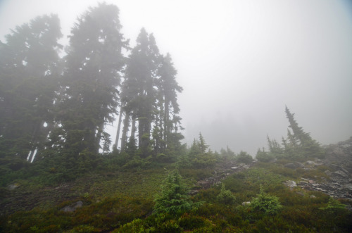 90377:Chain Lakes - Mt Baker by Melissa Ferrell