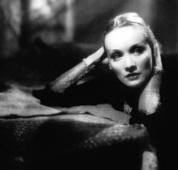 wehadfacesthen:Marlene Dietrich in Shanghai