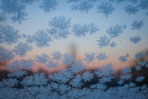 Frosted window panes  ❄