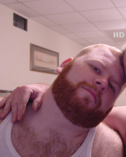 cutecubs:  thebigbearcave:  big tasty ginger bear man!  love him. unbelievably cute cub 