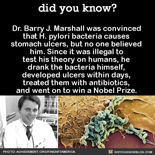 did-you-kno:Dr. Barry J. Marshall was convinced that H. pylori bacteria causes stomach ulcers, but n