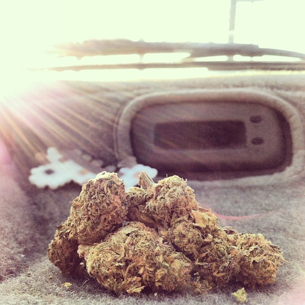Struggle is the enemy, Weed is the remedy. #wakeandbake #kahaluu #marijuana #remedy