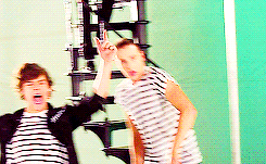 icanloveharrymorethanthis:  They are all so dumb hahaha 