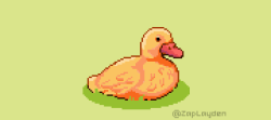 zaplayden:  Some more pixel birbs.