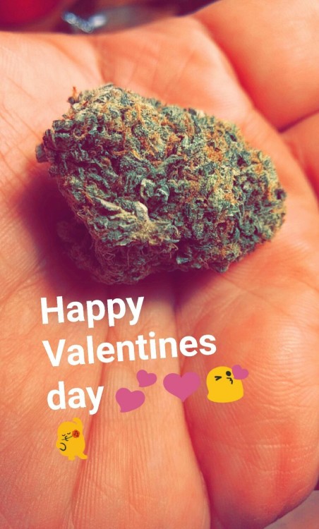 The very best flower a girl could ask for for Valentine&rsquo;s Day!! Thanks @ourprivatelifestyle420