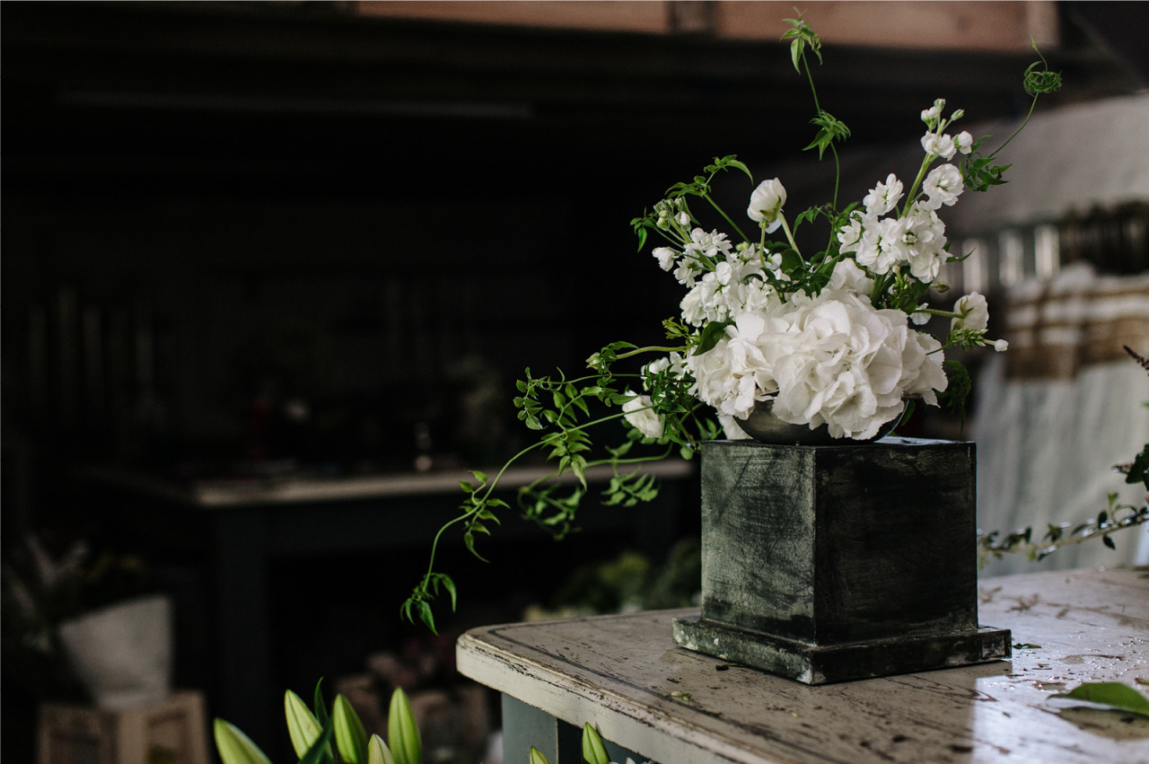 birdasaurus:Flowers by Passion - Cereal Magazine