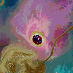 rocknrollfuldead:  click to trip balls