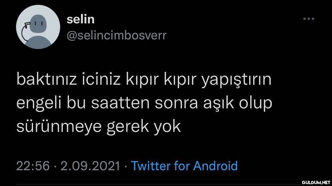 selin @selincimbosverr...