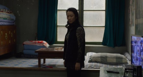 “In the films of her husband and ongoing collaborator Jia Zhangke, Zhao Tao has burrowed into each o