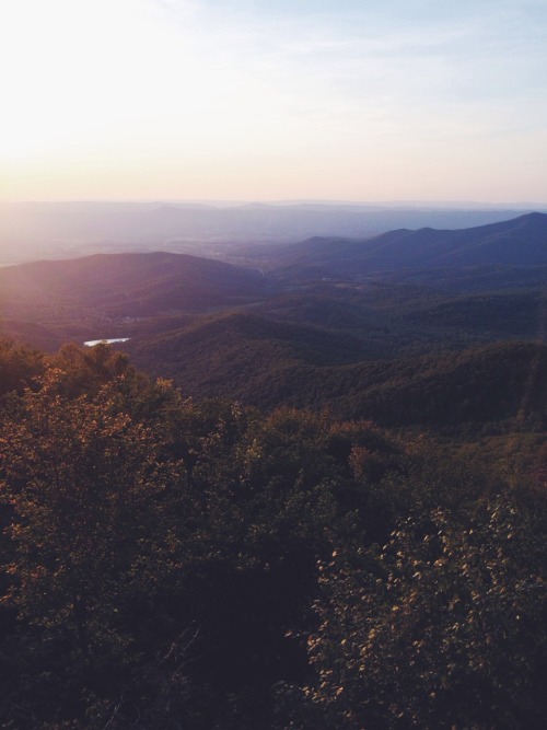 zoe-rh:Some photos from June, 2014 when my mom drove me home from school and we took the Blue Ridge 