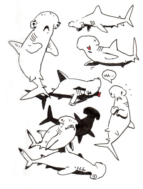 sketchshark:  Shark Week Sketchbookery 2!! Basking shark, bonnet head shark, and of course the Great White Shark. 