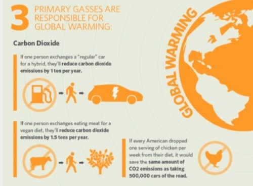 veganmovement2012:  There is no such thing as a meat, cheese, milk, egg-eating environmentalist. Excerpt from Adaptt.org    Meat-eating environmentalist = Oxymoron Animal Agriculture and Environmental Destruction  Many people who fancy themselves to be