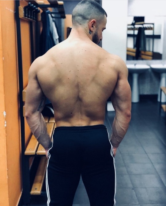 pellejunior32: