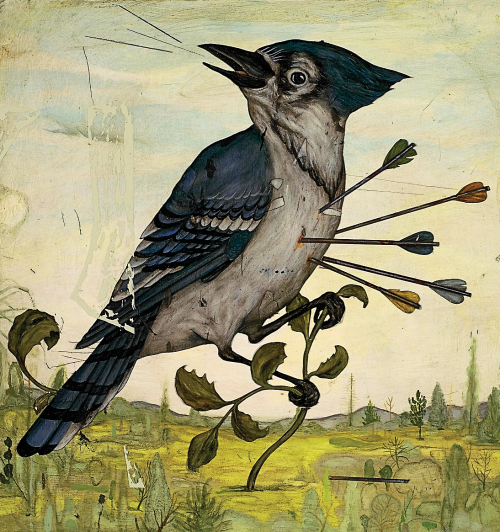 Audubon. Slings and Arrows: in defense of Blue Jays. By Jason Holley• via Bibliothèque Infernale on 