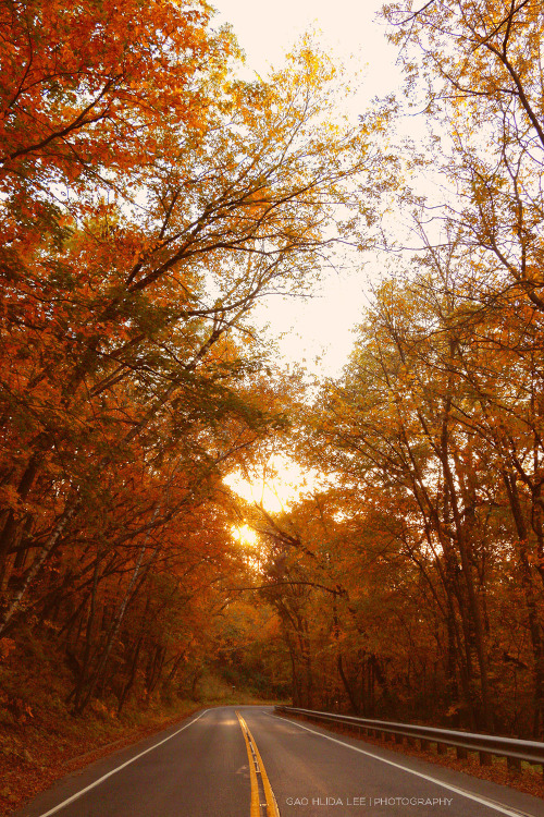 gaohlidaleephotography:  1.4.16 