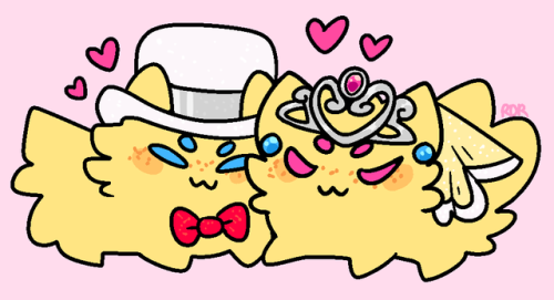 weeklyjoltiks:    ✨YOU’RE MY SUPERSTAR  ✨  