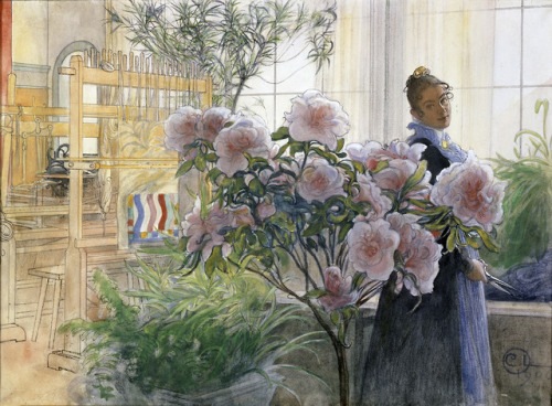 AzaleaCarl Larsson (Swedish; 1853–1919)1906WatercolorThielska Galleriet, Stockholm, Sweden